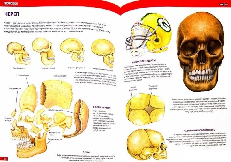 Самая большая детская энциклопедия фото книги 2