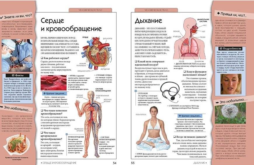 Новая энциклопедия школьника фото книги 5