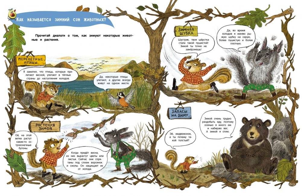Кто украл орехи? фото книги 4