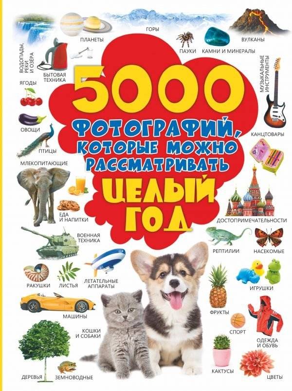5000 фотографий, которые можно рассматривать целый год | 5000 Photos to Explore for a Year