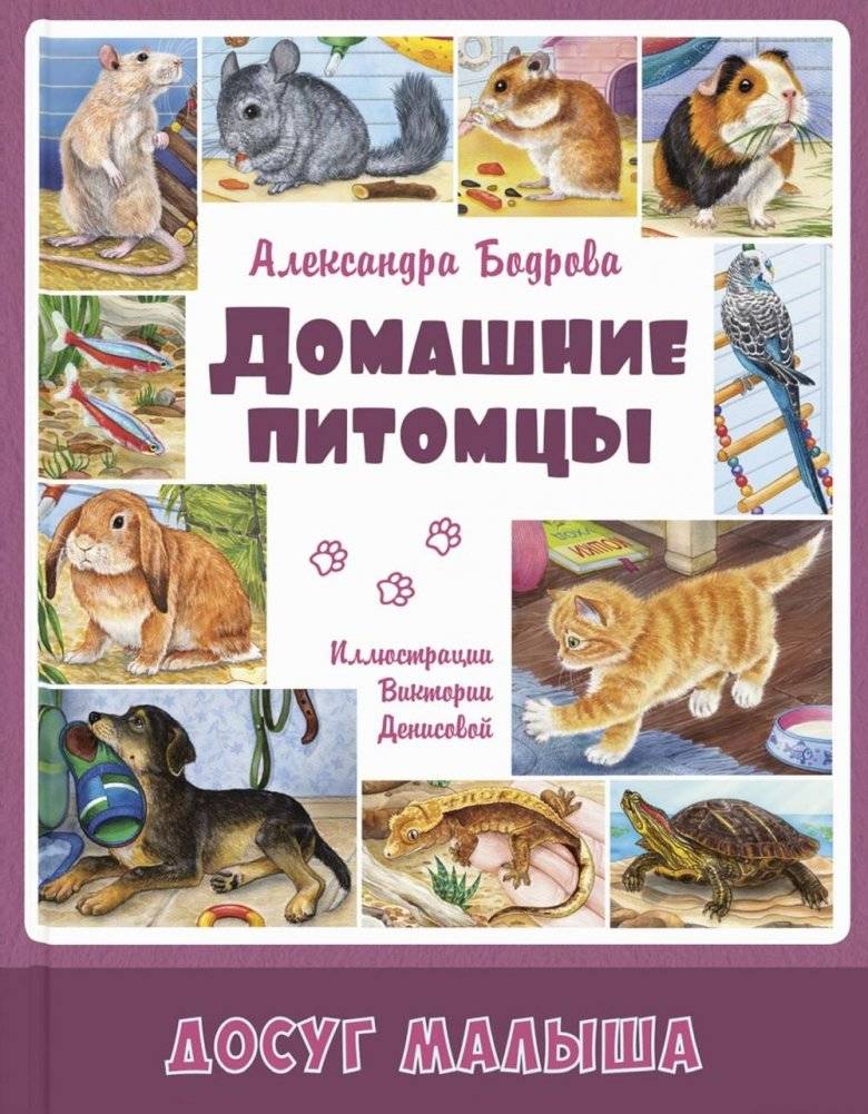 Домашние питомцы | Home Pets