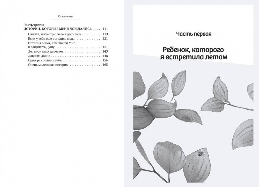 Дорогое наше лето фото книги 3
