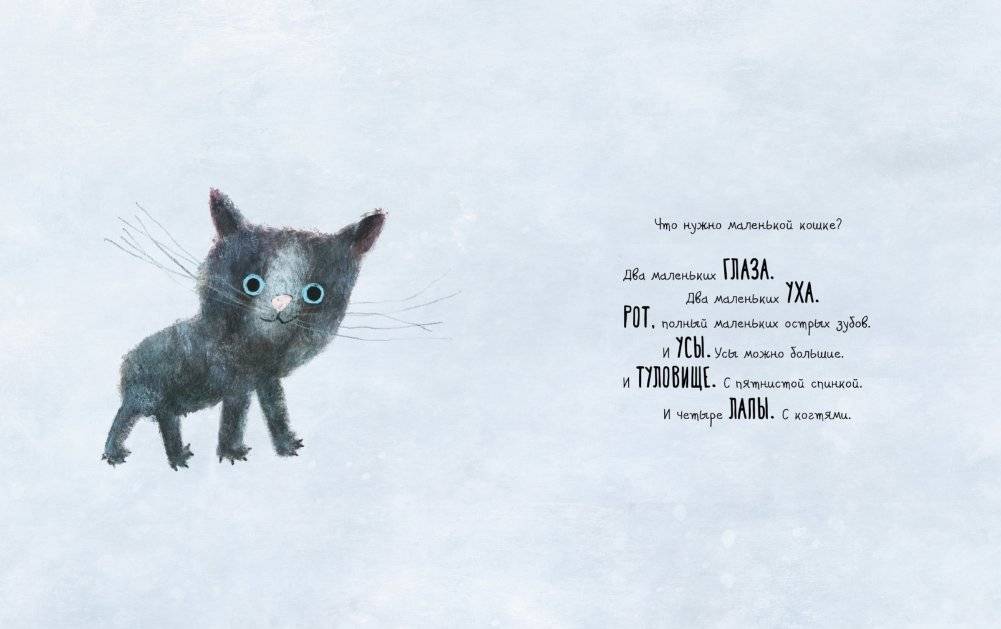 Что нужно маленькой кошке фото книги 2
