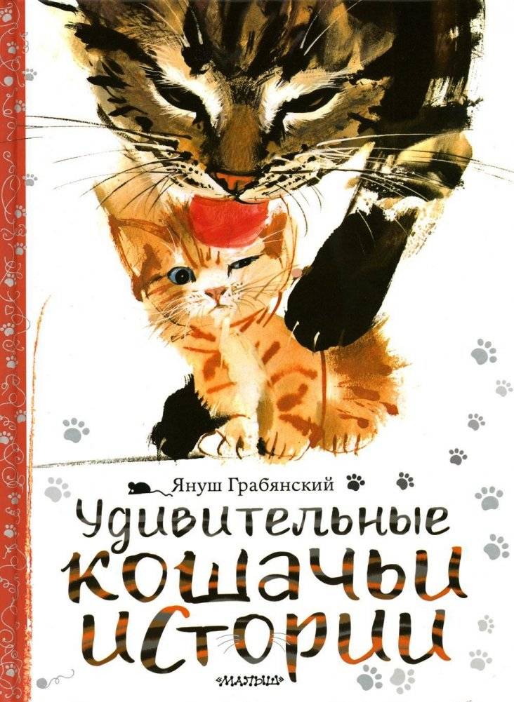 Удивительные кошачьи истории | Amazing Cat Stories