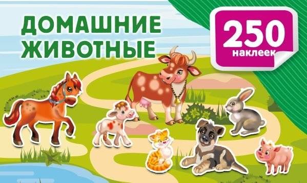 Домашние животные | Pets