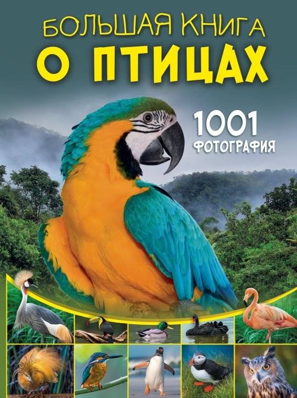 Большая книга о птицах. 1001 фотография | The Big Book of Birds. 1001 Photographs
