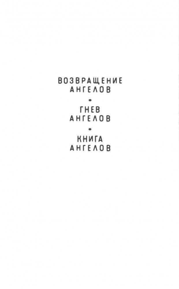 Возвращение ангелов фото книги 2