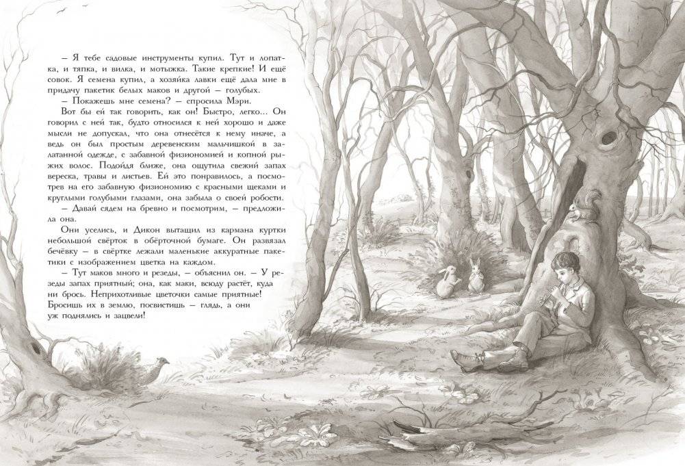 Таинственный сад фото книги 3