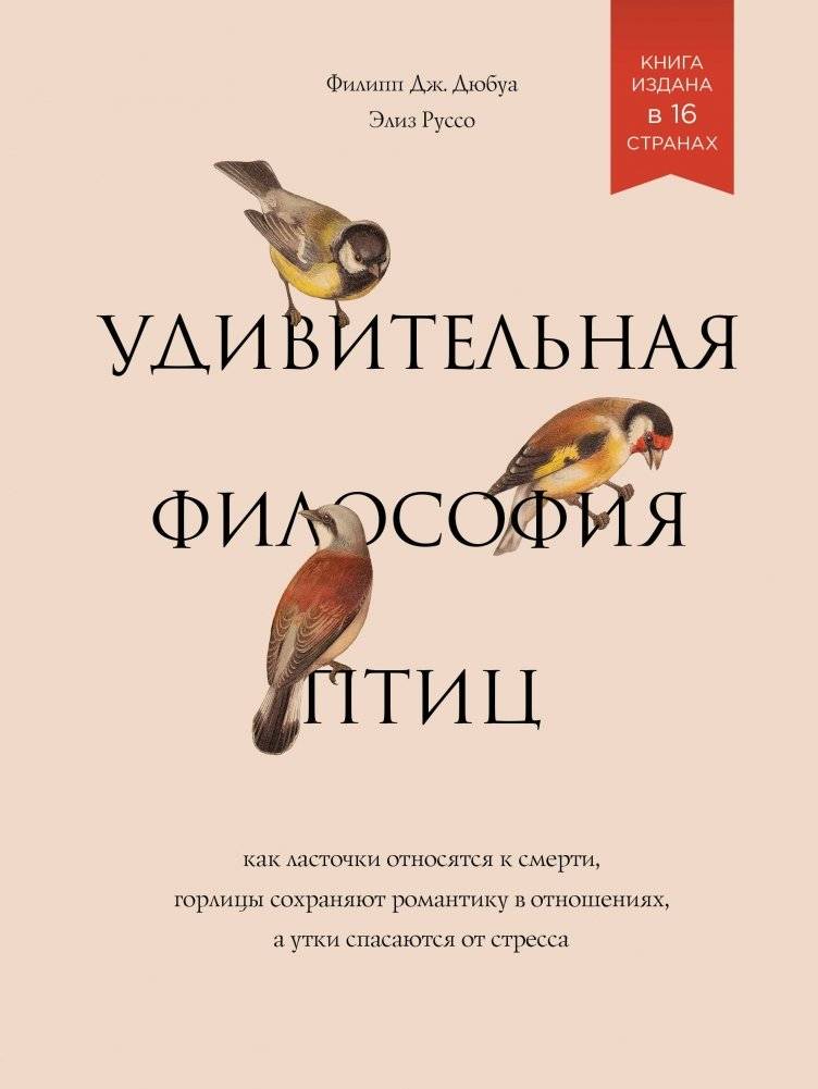 Удивительная философия птиц | The Amazing Philosophy of Birds