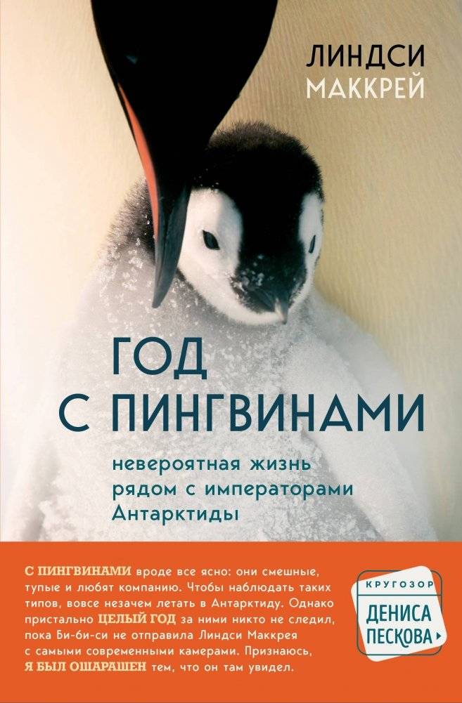 Год с пингвинами. Невероятная жизнь рядом с императорами Антарктиды | A Year with Penguins: The Incredible Life of Antarctica's Emperors