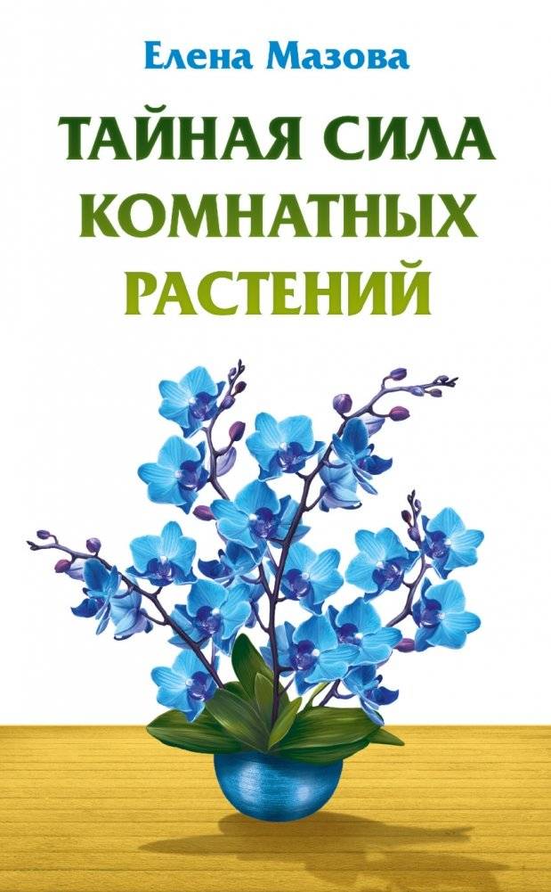 Тайная сила комнатных растений | The Secret Power of Houseplants