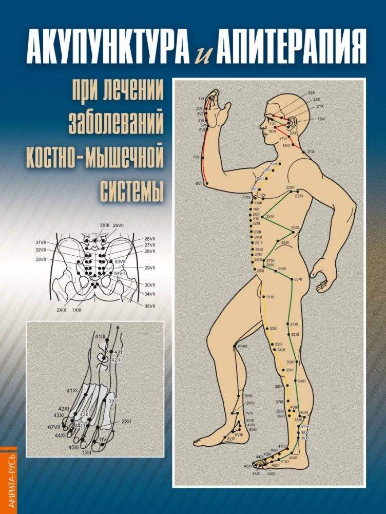 Акупунктура и апитерапия при лечении заболеваний костно-мышечной системы. Практическое руководство | Acupuncture and Apitherapy for Musculoskeletal Diseases: A Practical Guide