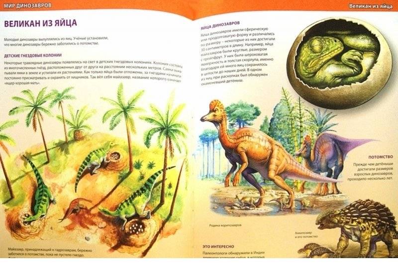 Самая большая детская энциклопедия фото книги 3