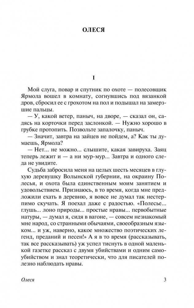 Гранатовый браслет фото книги 4