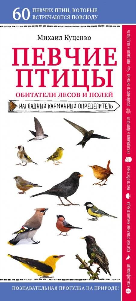 Певчие птицы. Обитатели лесов и полей | Songbirds: Inhabitants of Forests and Fields