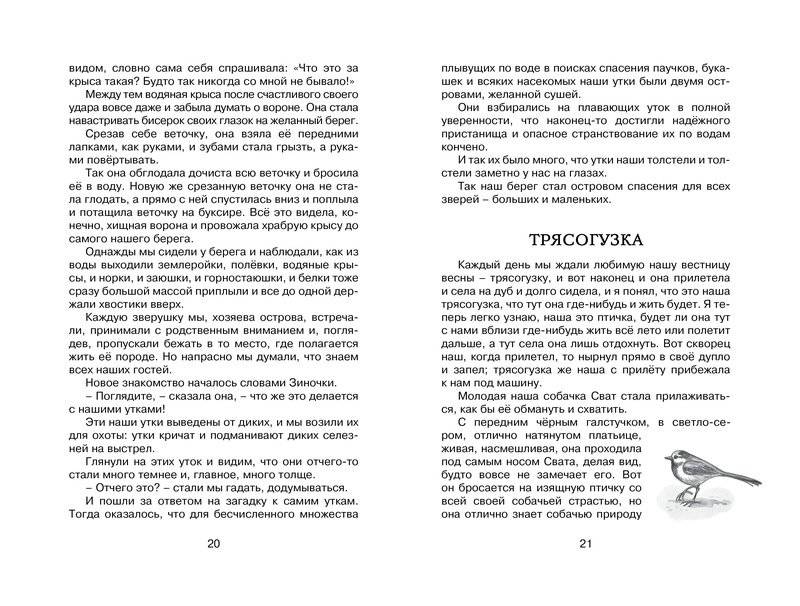 Лисичкин хлеб фото книги 6