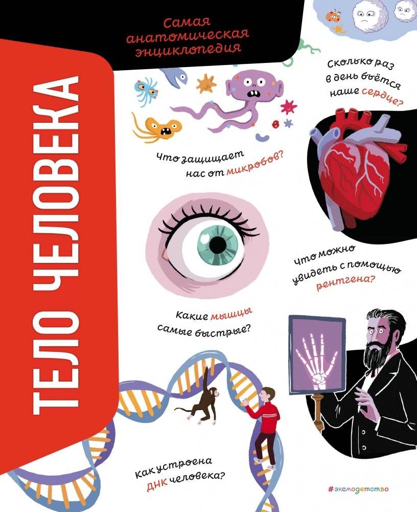 Тело человека. Самая анатомическая энциклопедия | The Human Body: The Ultimate Anatomical Encyclopedia