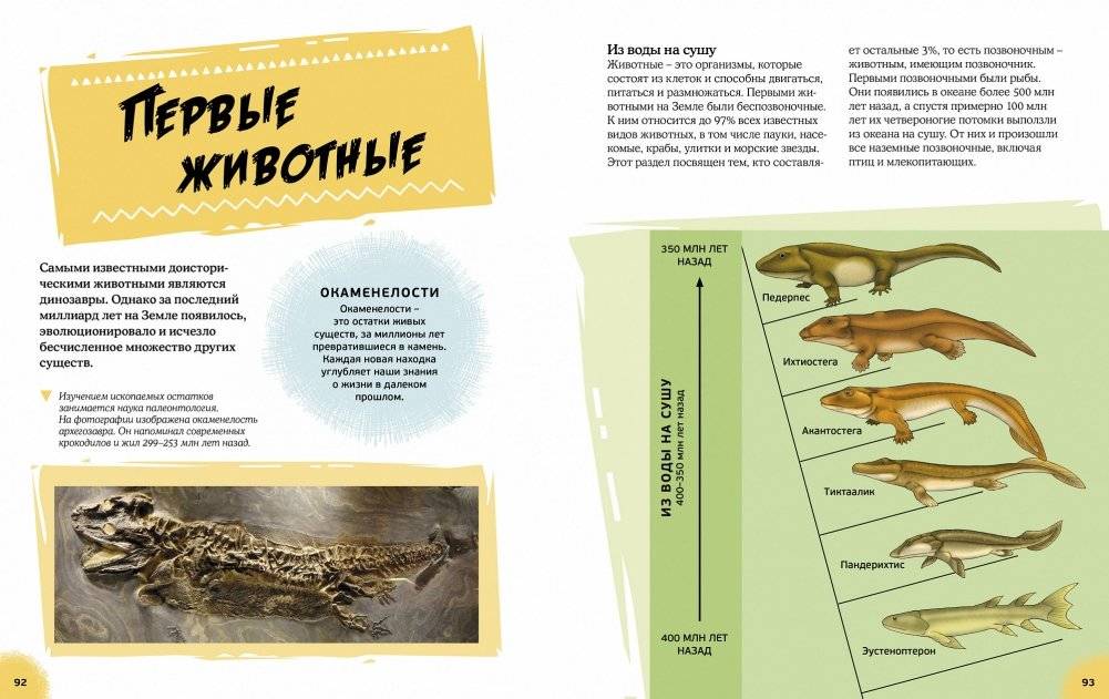 Эра динозавров. Жизнь в доисторические времена фото книги 7