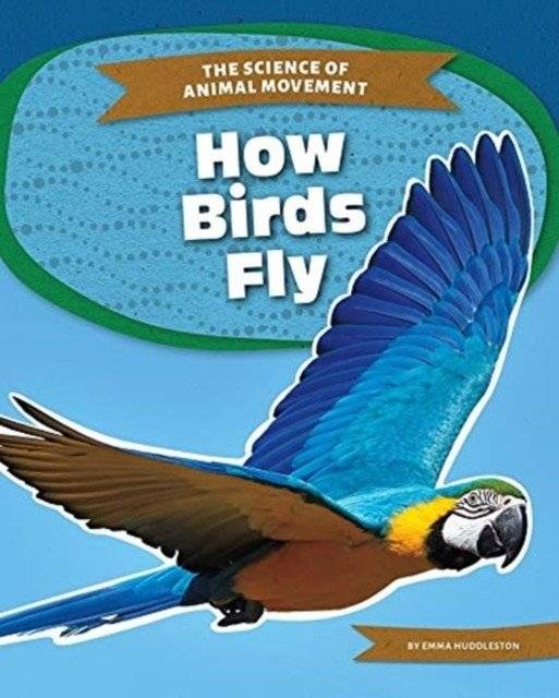 How Birds Fly | How Birds Fly