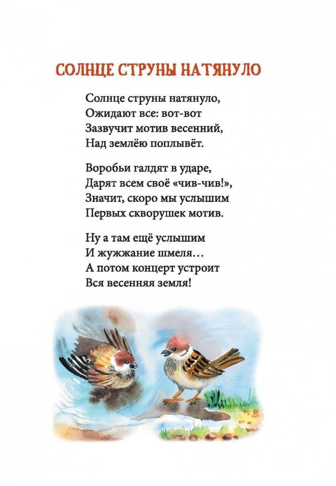 Лесной карнавал фото книги 4