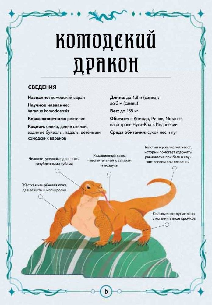 Книга выживших драконов. BIObook А. Толмачёва фото книги 2