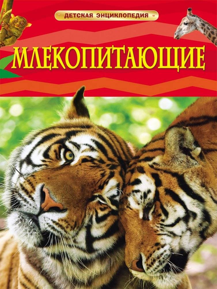 Млекопитающие | Mammals