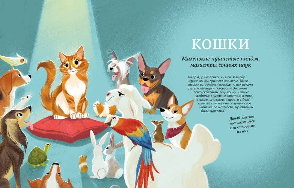 Все-все-все домашние питомцы фото книги 3