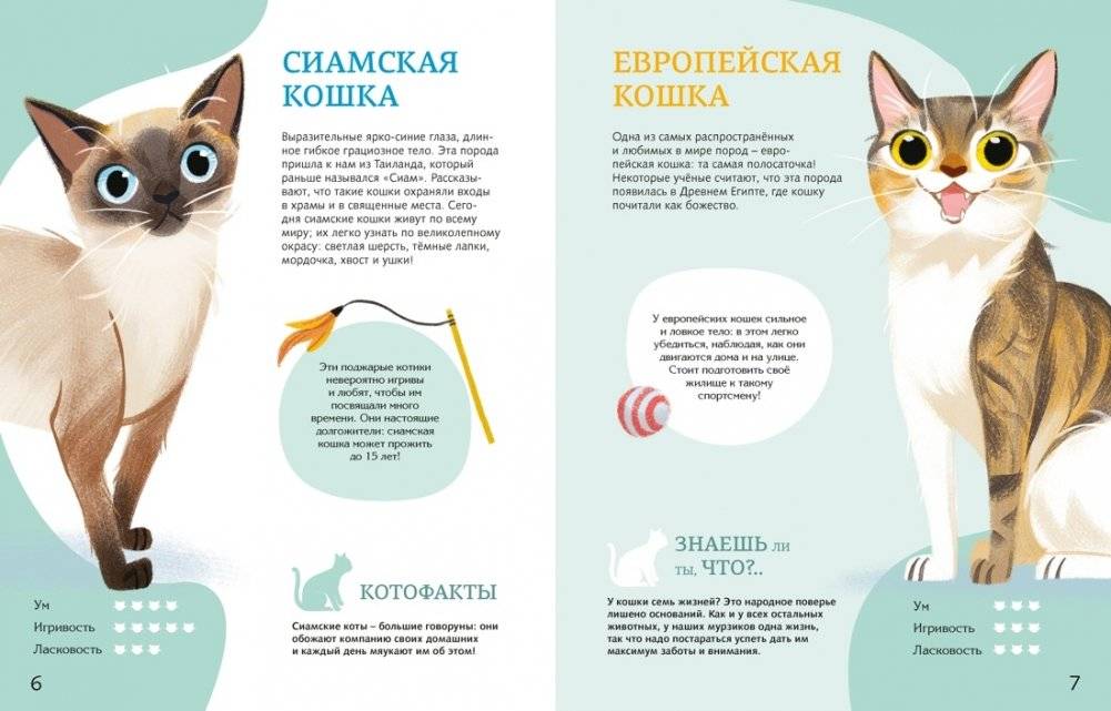 Все-все-все домашние питомцы фото книги 4