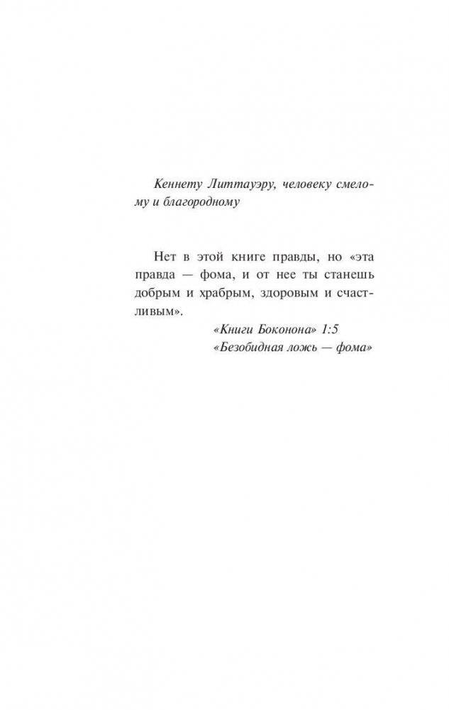 Колыбель для кошки фото книги 4