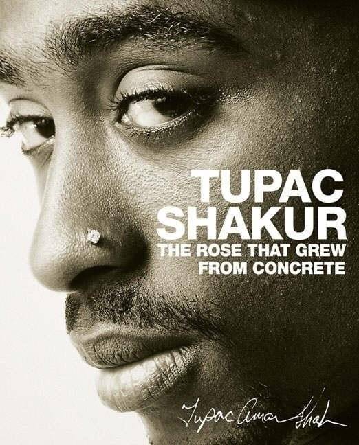 Rose that grew from concrete | Rose That Grew from Concrete