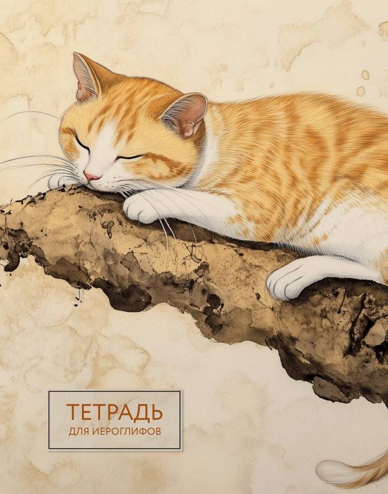 Тетрадь для иероглифов (рыжий котик) | Calligraphy Practice Notebook (Ginger Cat)