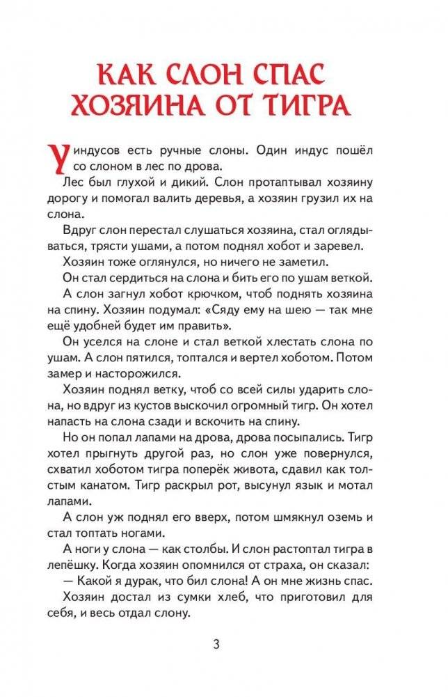 Кенгура фото книги 3