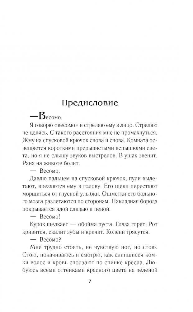 Симфония кукол фото книги 2