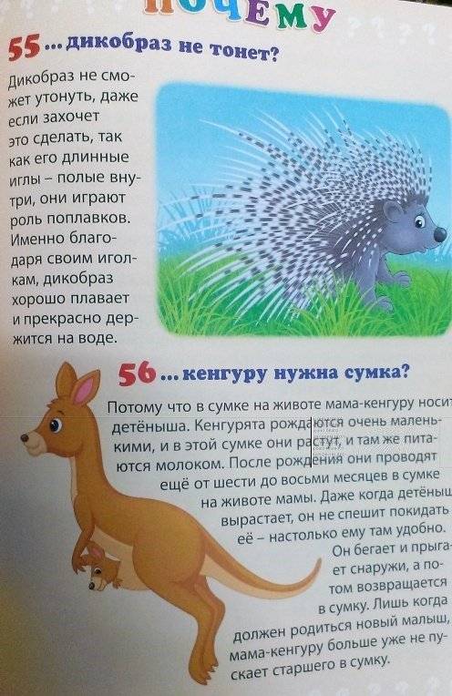 Почему люди не летают? Простые ответы на детские вопросы фото книги 6