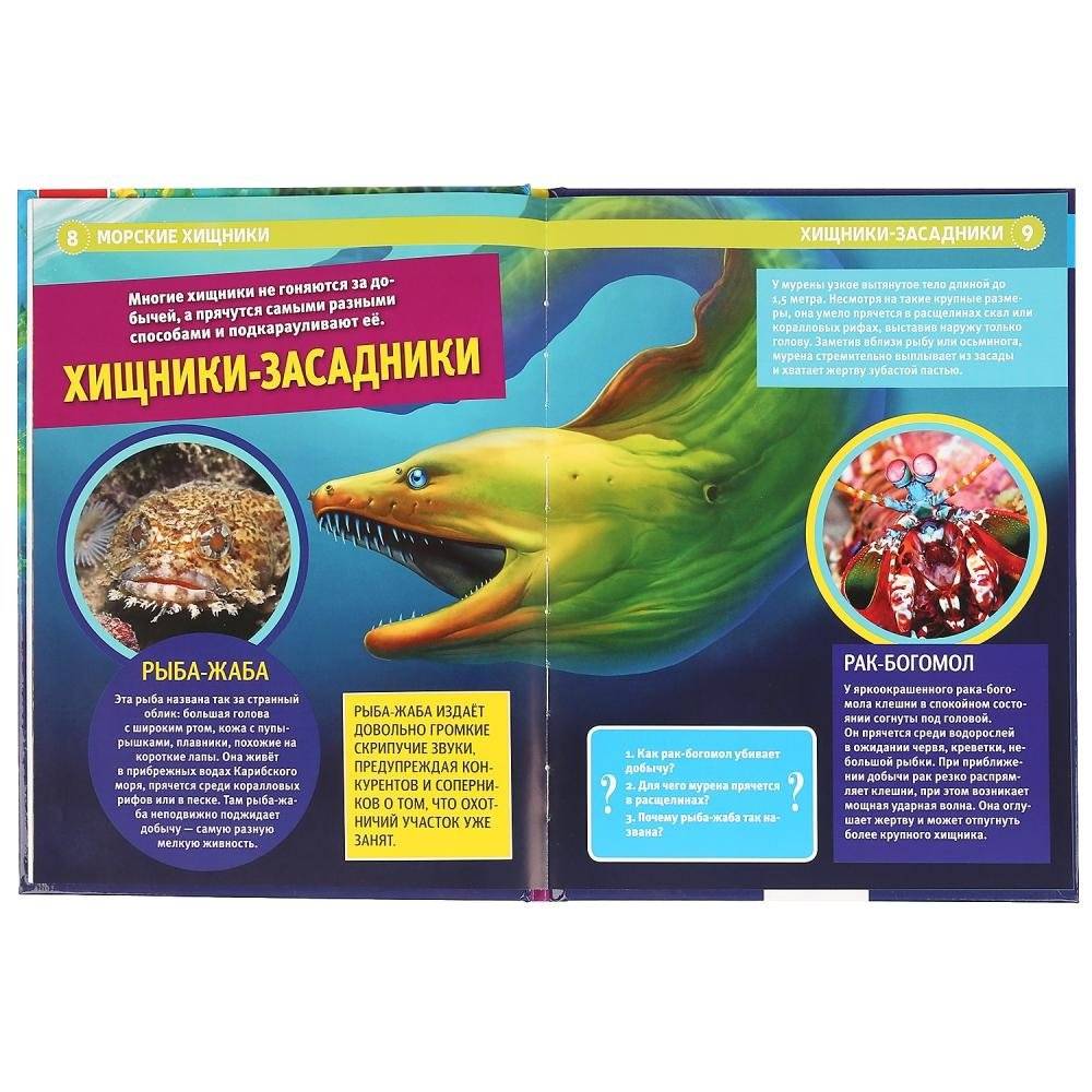 Энциклопедия. Морские хищники фото книги 4