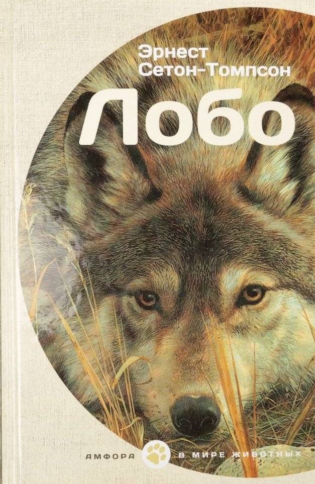 Лобо | Lobo