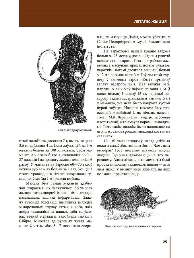 Першыя людзі на зямлі Беларусі фото книги 5