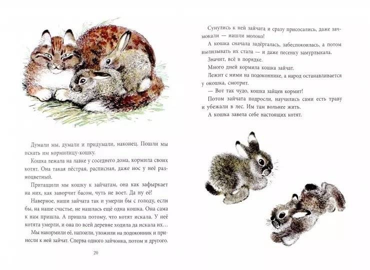 Почему Тюпа не ловит птиц. Рассказы фото книги 2