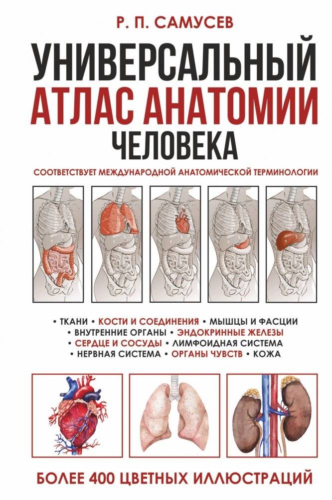 Универсальный атлас анатомии человека с цветными иллюстрациями | Universal Atlas of Human Anatomy with Color Illustrations