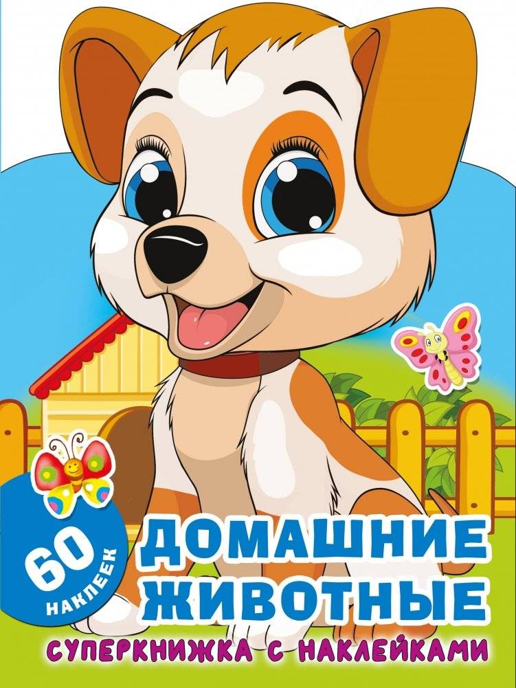 Домашние животные | Pets