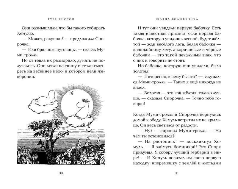Шляпа Волшебника фото книги 5