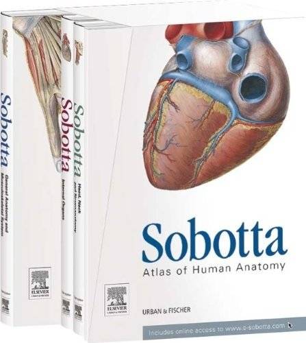 Sobotta, Atlas of Anatomy | Sobotta Atlas of Anatomy
