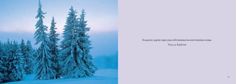 Деревья. Красота и гармония фото книги 4