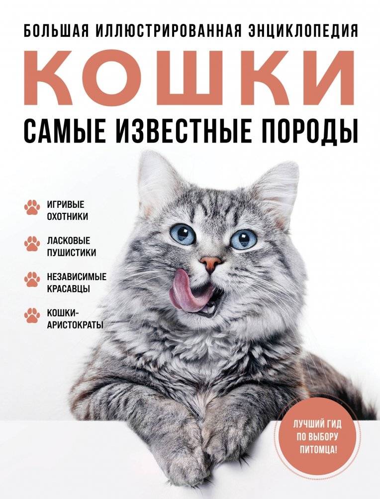 Самые известные породы. КОШКИ. Большая иллюстрированная энциклопедия | Most Famous Cat Breeds: A Large Illustrated Encyclopedia