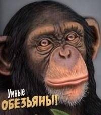 Умные обезьяны! | Smart Monkeys!