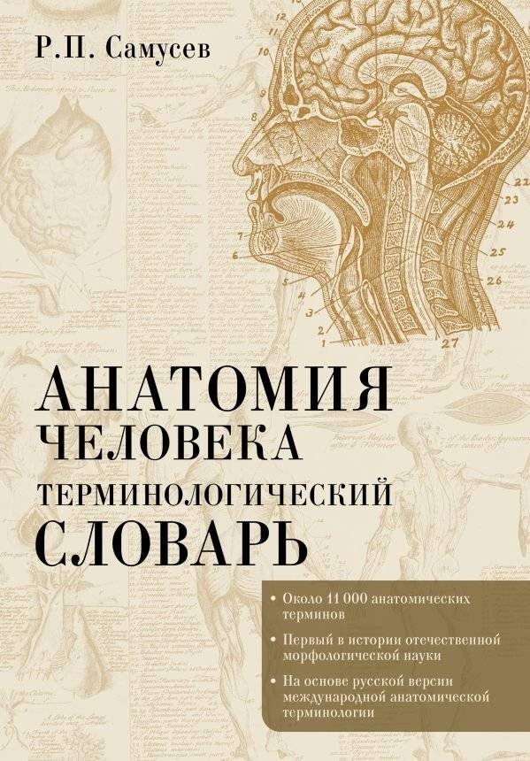 Анатомия человека. Терминологический словарь | Human Anatomy: Terminological Dictionary