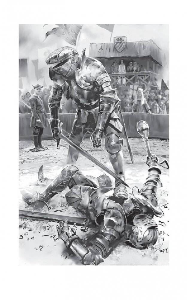 Янтарь на снегу фото книги 2