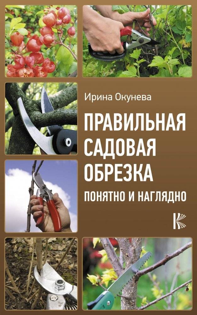 Правильная садовая обрезка. Понятно и наглядно | Practical Garden Pruning. Clearly and Visually