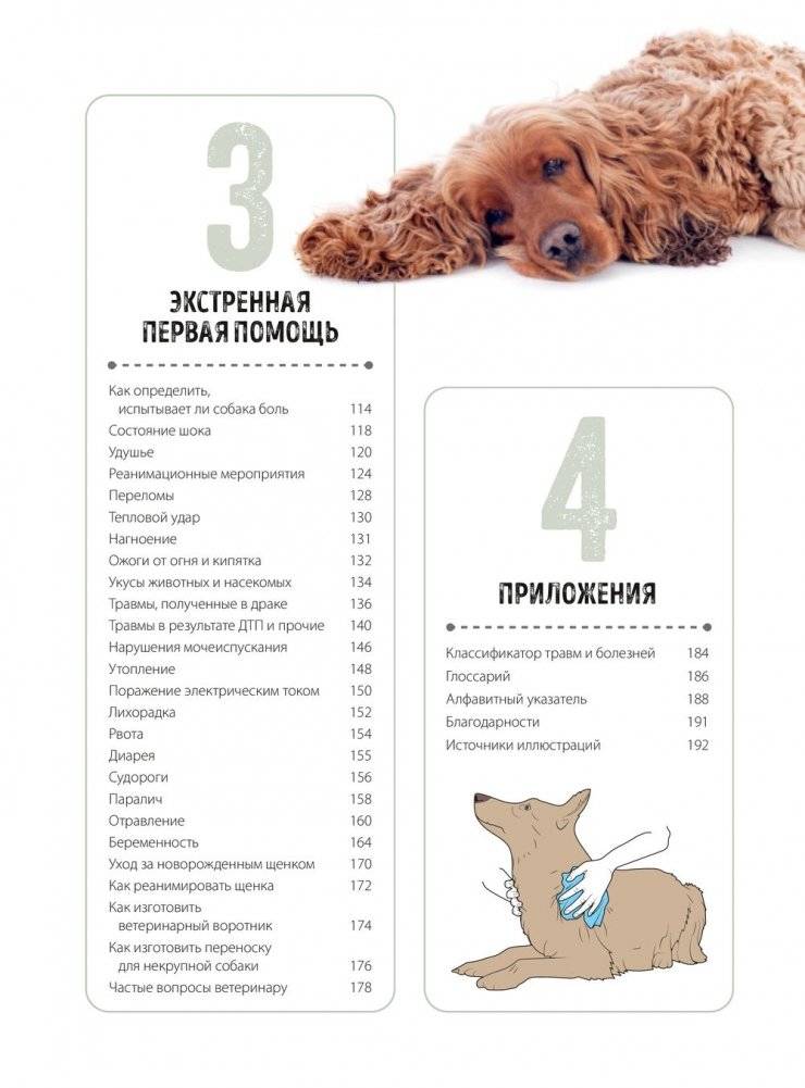Первая помощь собакам. Осмотр, действия в экстренных ситуациях, аптечка первой помощи, социализация, дрессировка, груминг фото книги 3