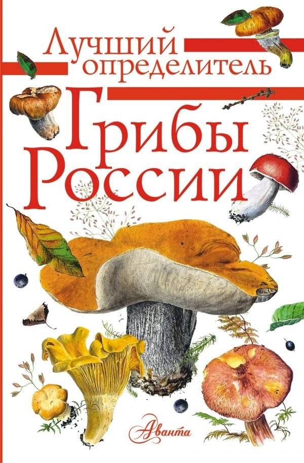 Грибы России | Griby Rossii